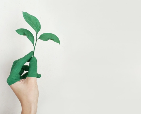 Nachhaltige IT: Hand mit Pflanze in grüne Farbe getauscht
