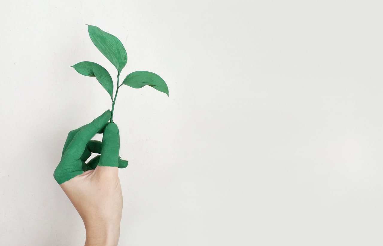 Nachhaltige IT: Hand mit Pflanze in grüne Farbe getauscht