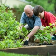 Symbolbild Impact Investing: Ein älterer Mann und ein Junge pflanzen gemeinsam Setzlinge.