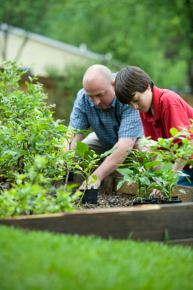 Symbolbild Impact Investing: Ein älterer Mann und ein Junge pflanzen gemeinsam Setzlinge.